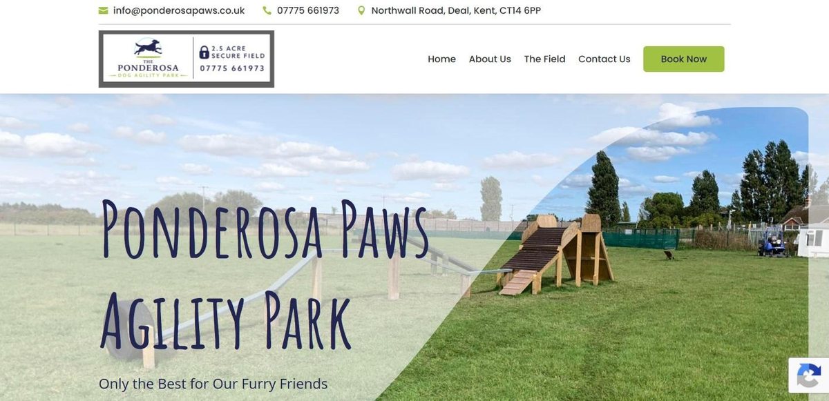 Ponderosa Paws website